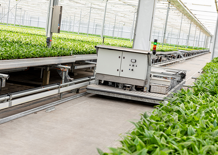 Automated transport system in a greenhouse